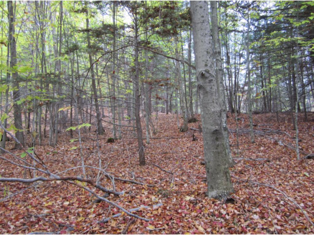 0 Sanders Road Jaffrey, NH 03452 - Photo 2 of 2