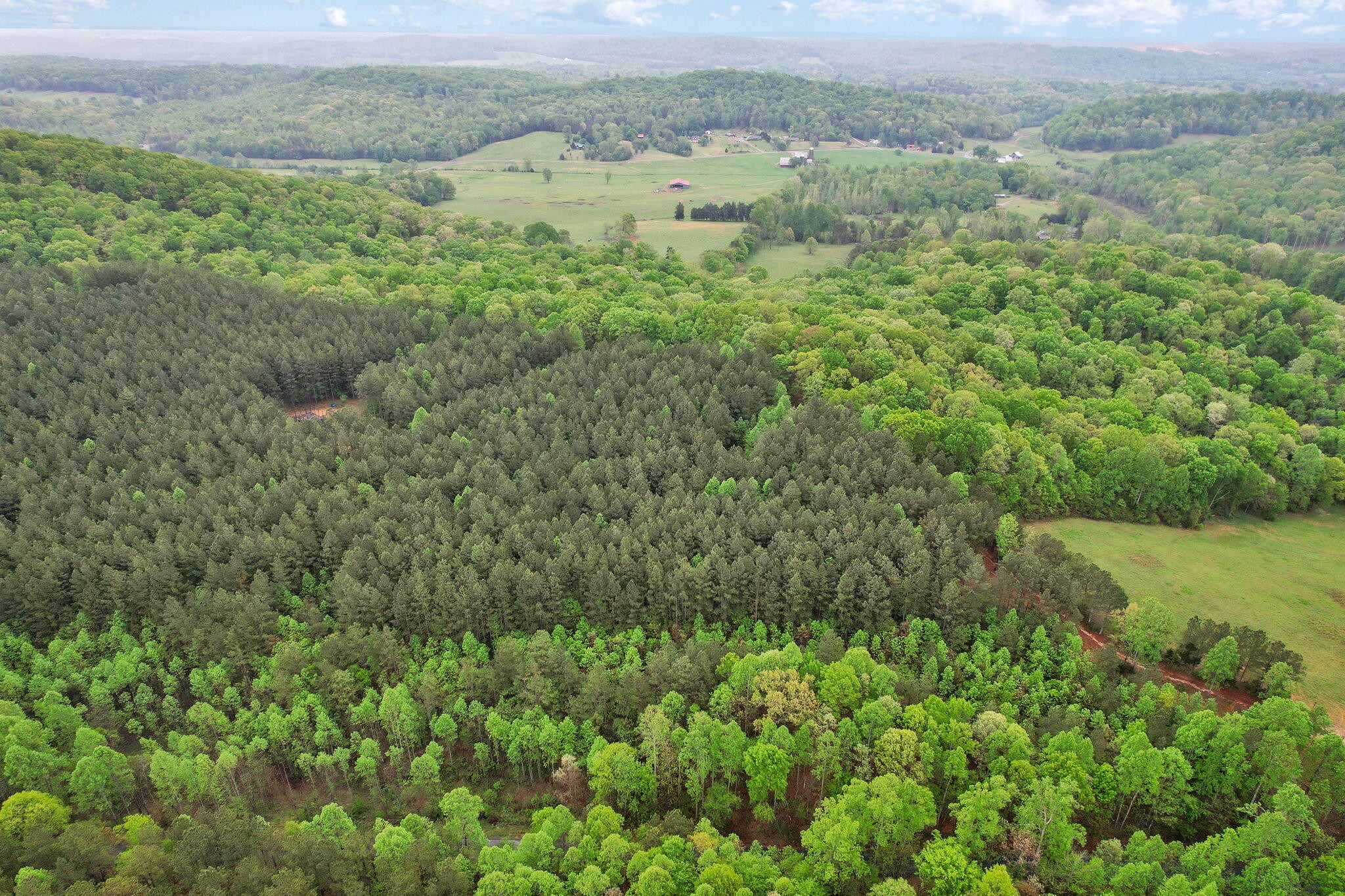 190 Sims Road Decatur, TN 37322 - Photo 1 of 12 Gallery Image 1