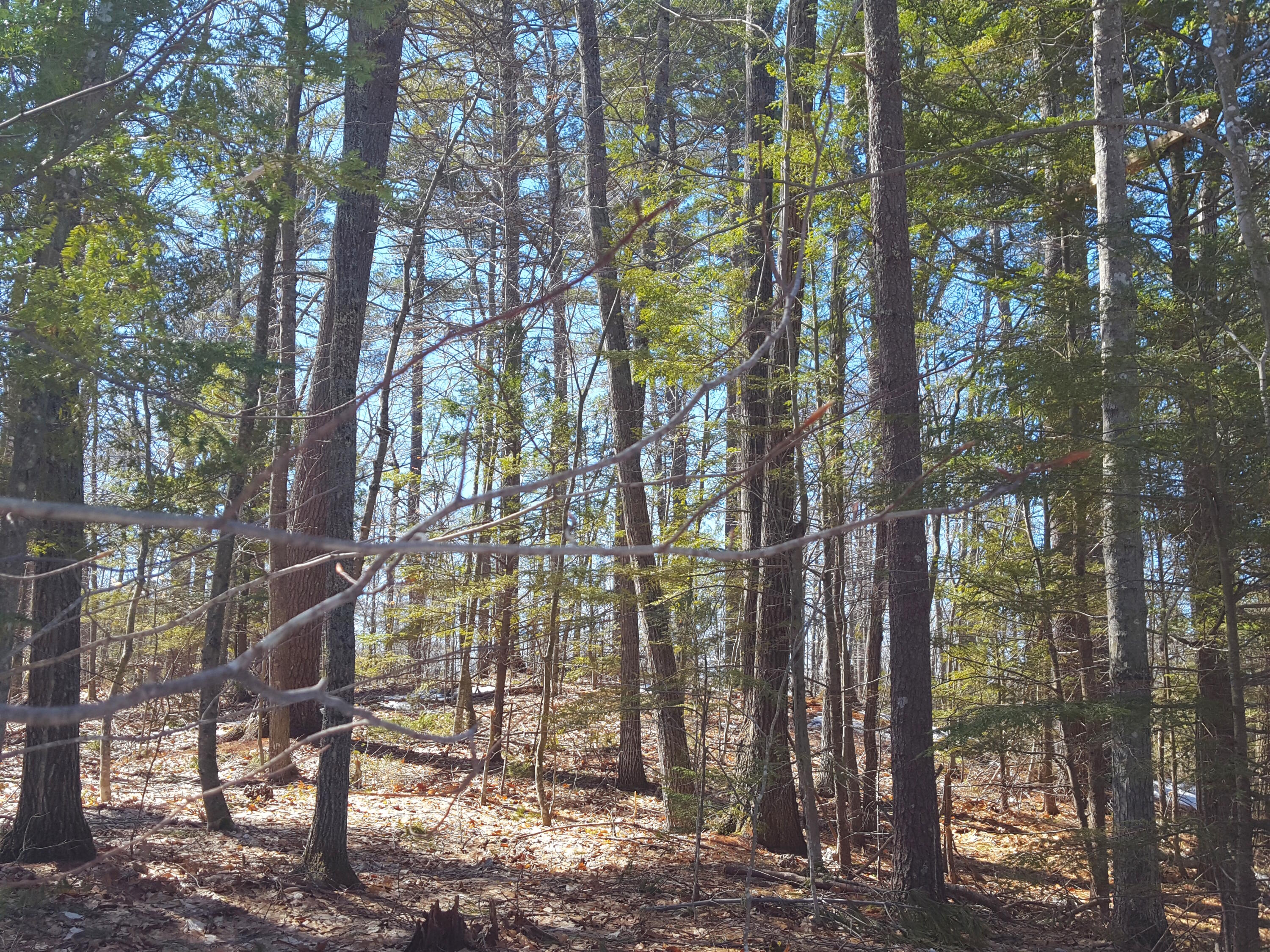 48 Higgins Hill Road Casco, ME 04015 - Photo 3 of 24 20230402_115433