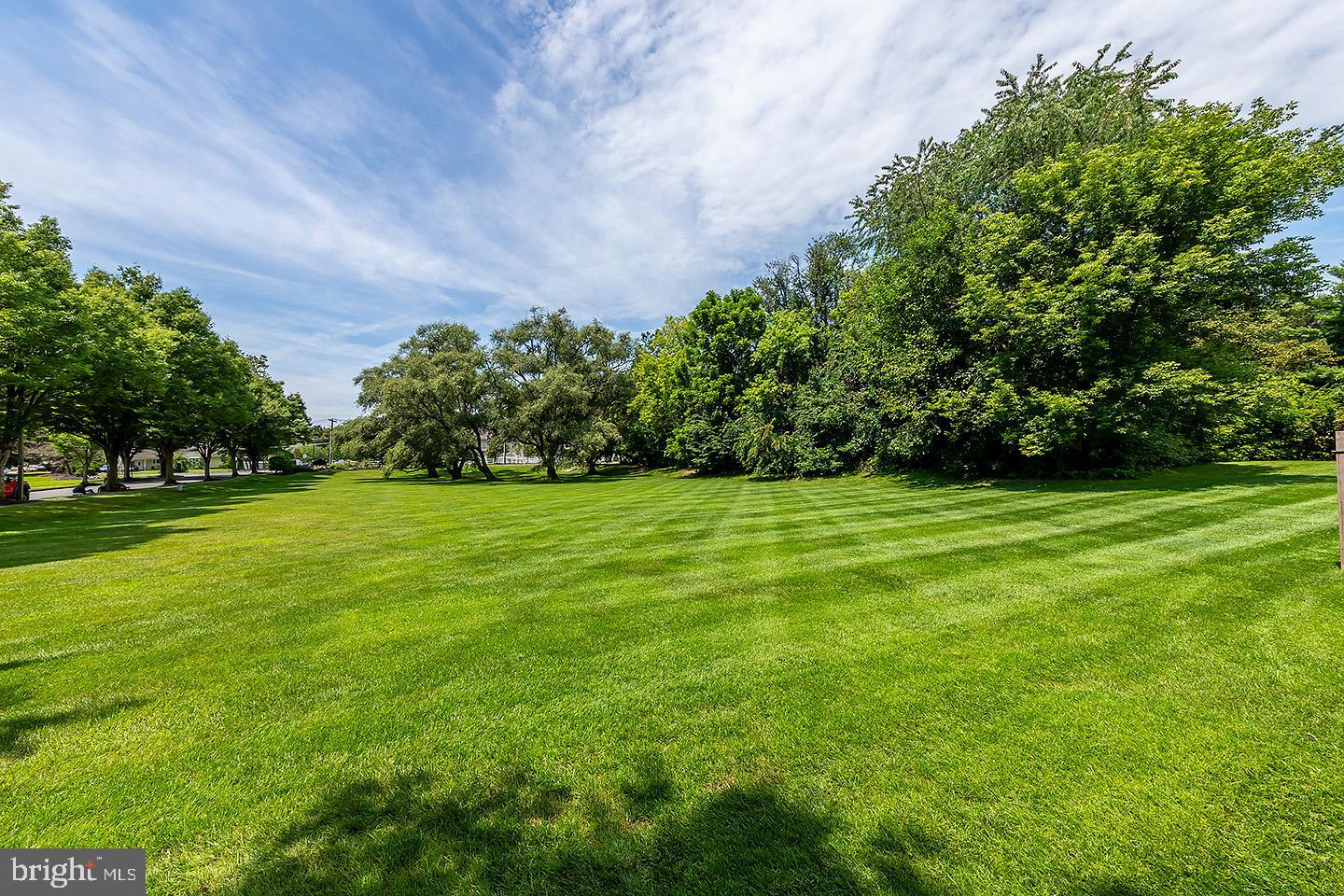 4 Shira Court Mount Holly, NJ 08060 - Photo 16 of 16 a view of yard with green space
