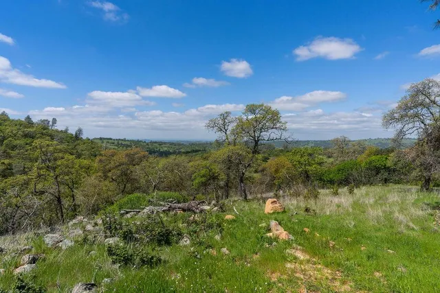 a view of a lake in middle of forest