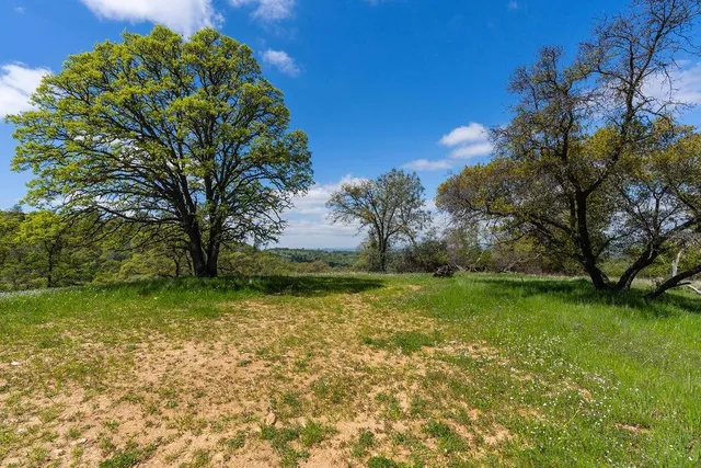 a view of backyard with green space