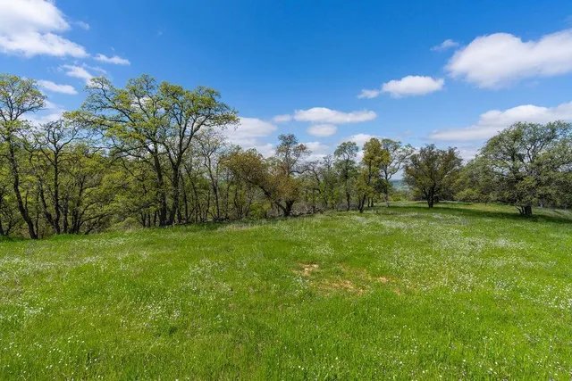 a view of a green field