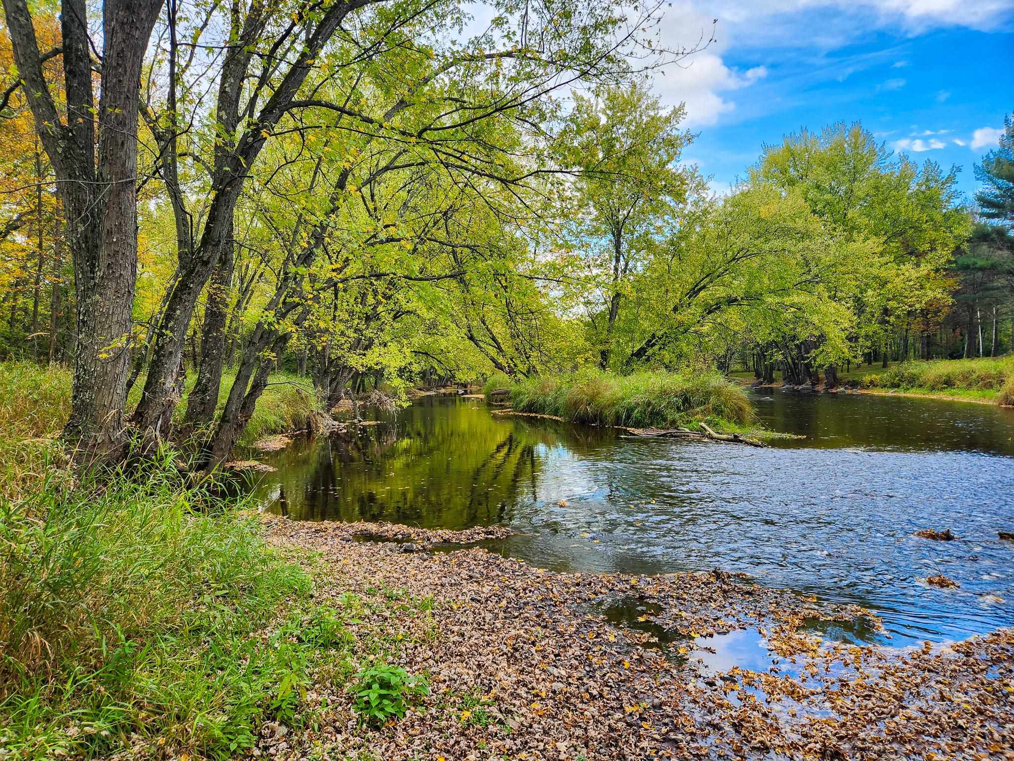 6-acres River Road Ringle, WI 54471 - Photo 1 of 1