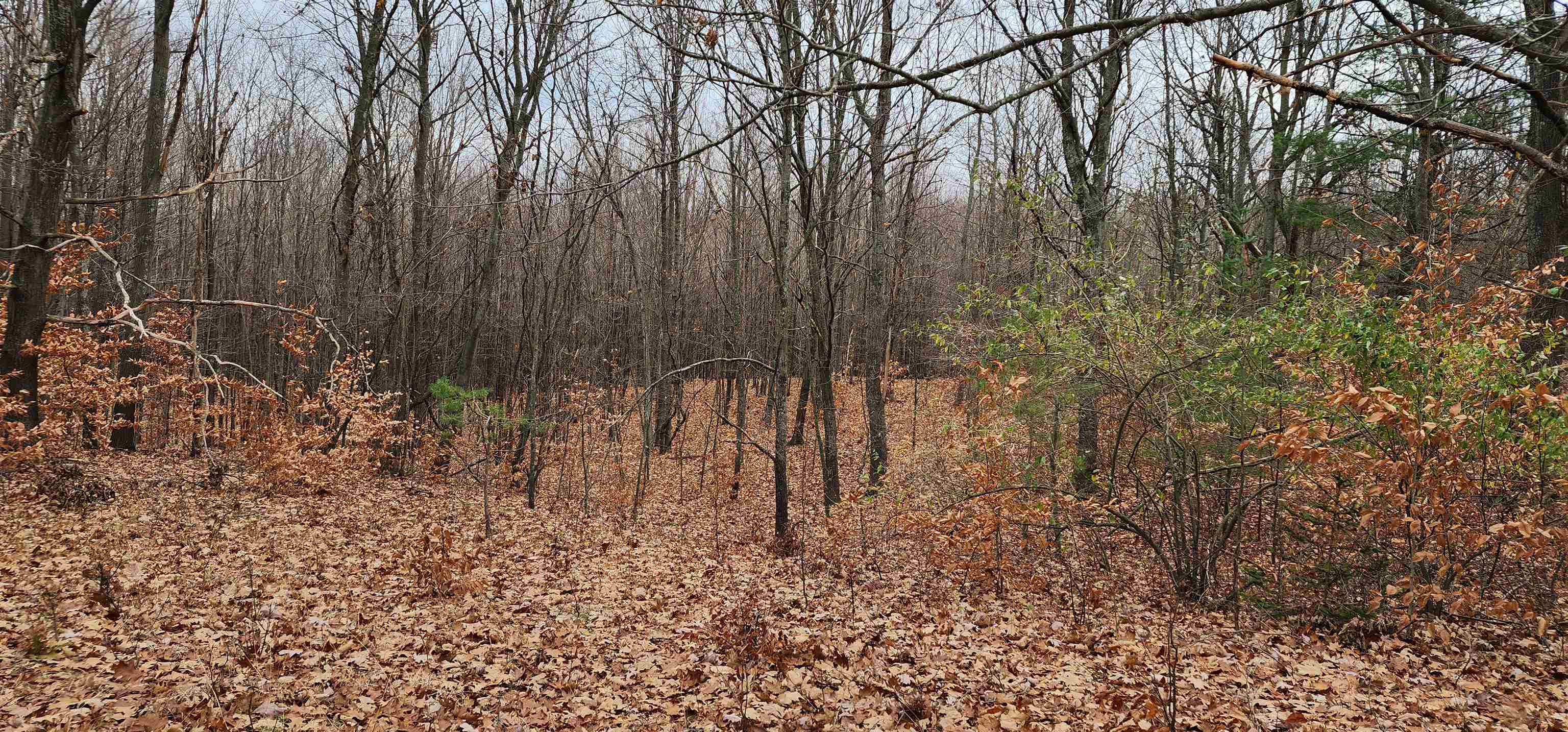 8.59 West Phelps Road Manton, MI 49663 - Photo 16 of 26