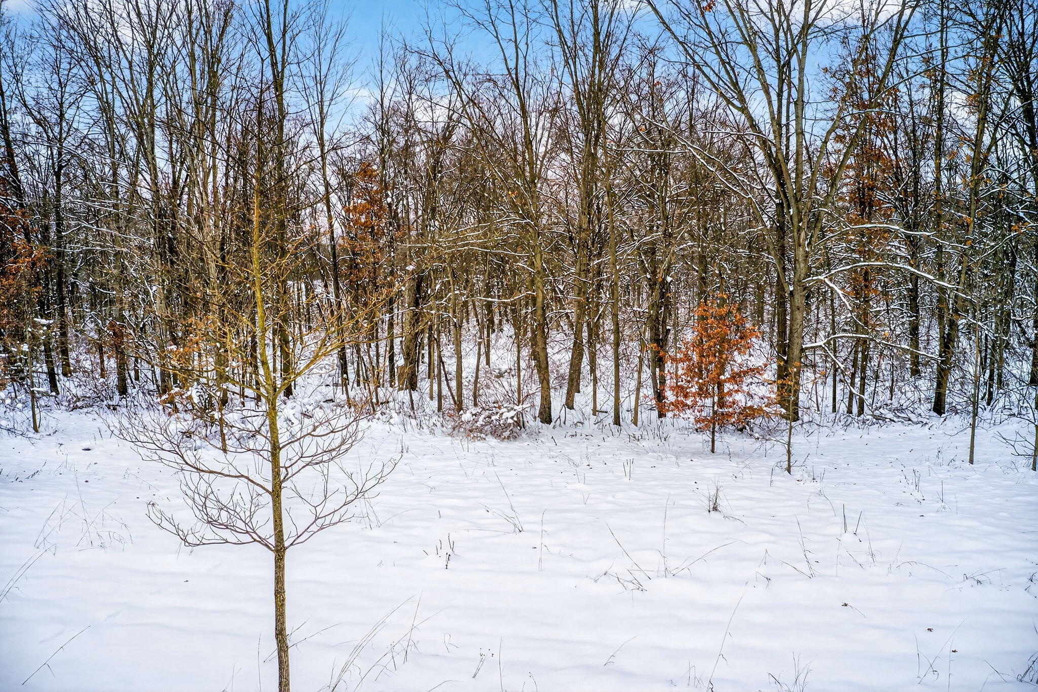2 Garver Lake Road Edwardsburg, MI 49112 - Photo 27 of 32 Garver Lake Rd-27