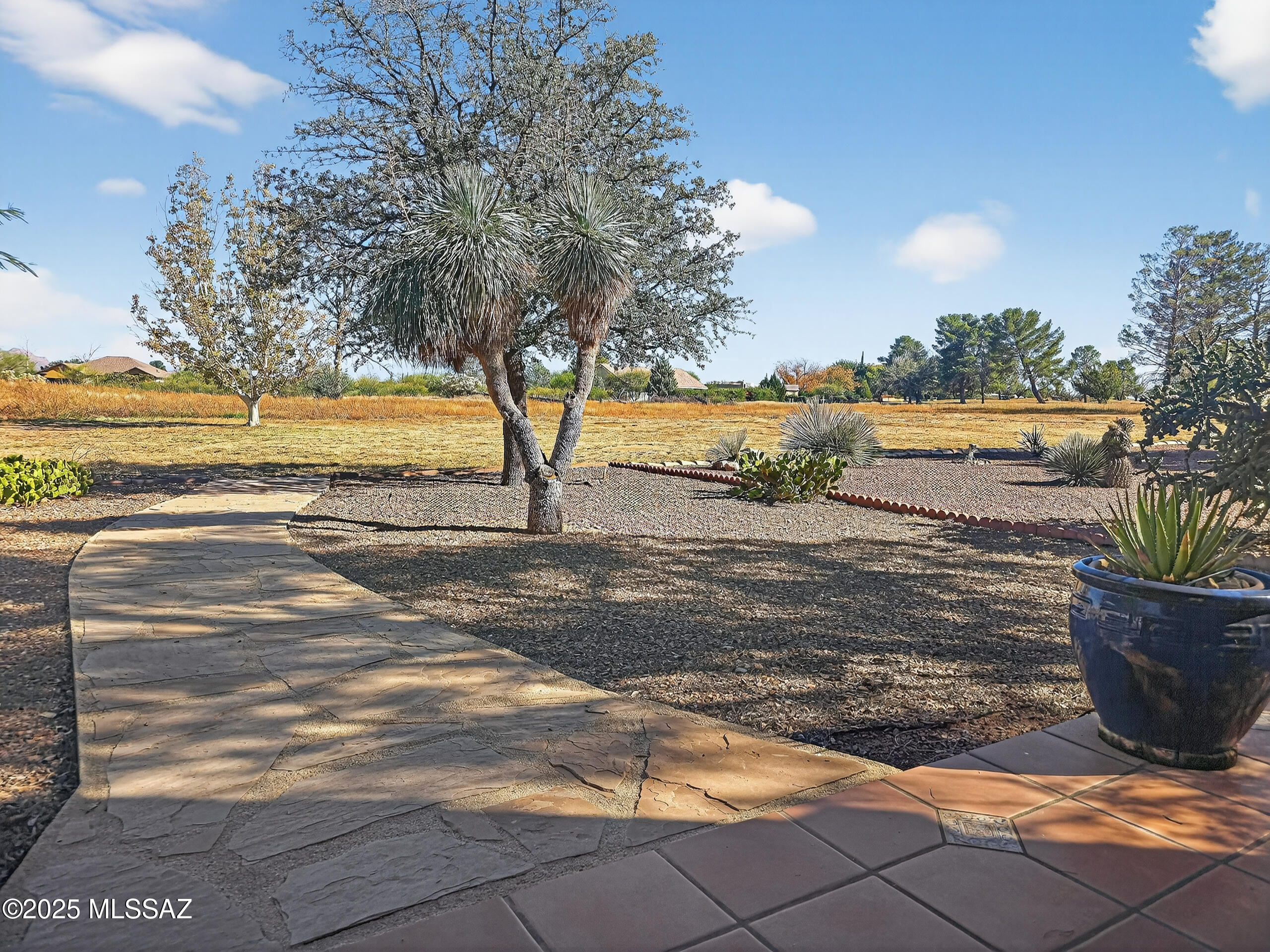448 Dale Road Pearce, AZ 85625 - Photo 40 of 47 former golfcourse area