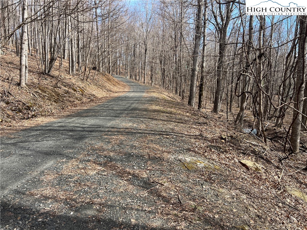 Unk Maple Branch Road West Jefferson, NC 28694 - Photo 2 of 6 a view of empty room with tree s