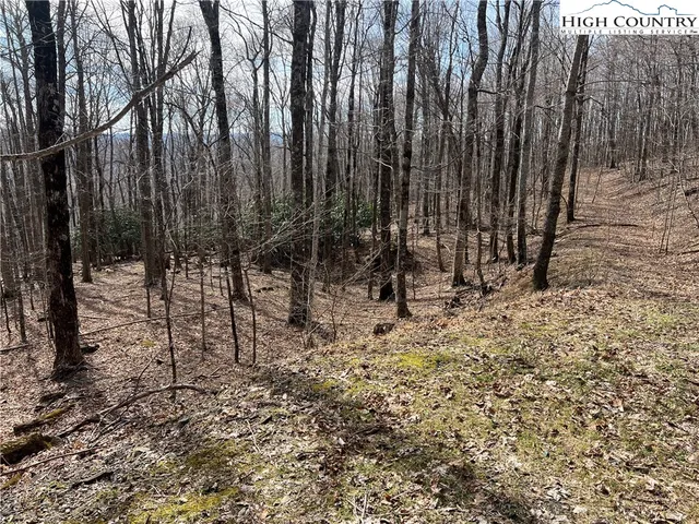 a view of wooden fence