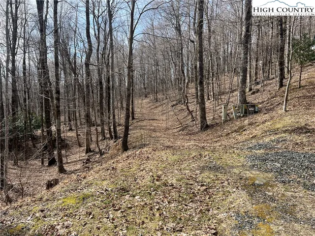 a view of backyard with wooden fence