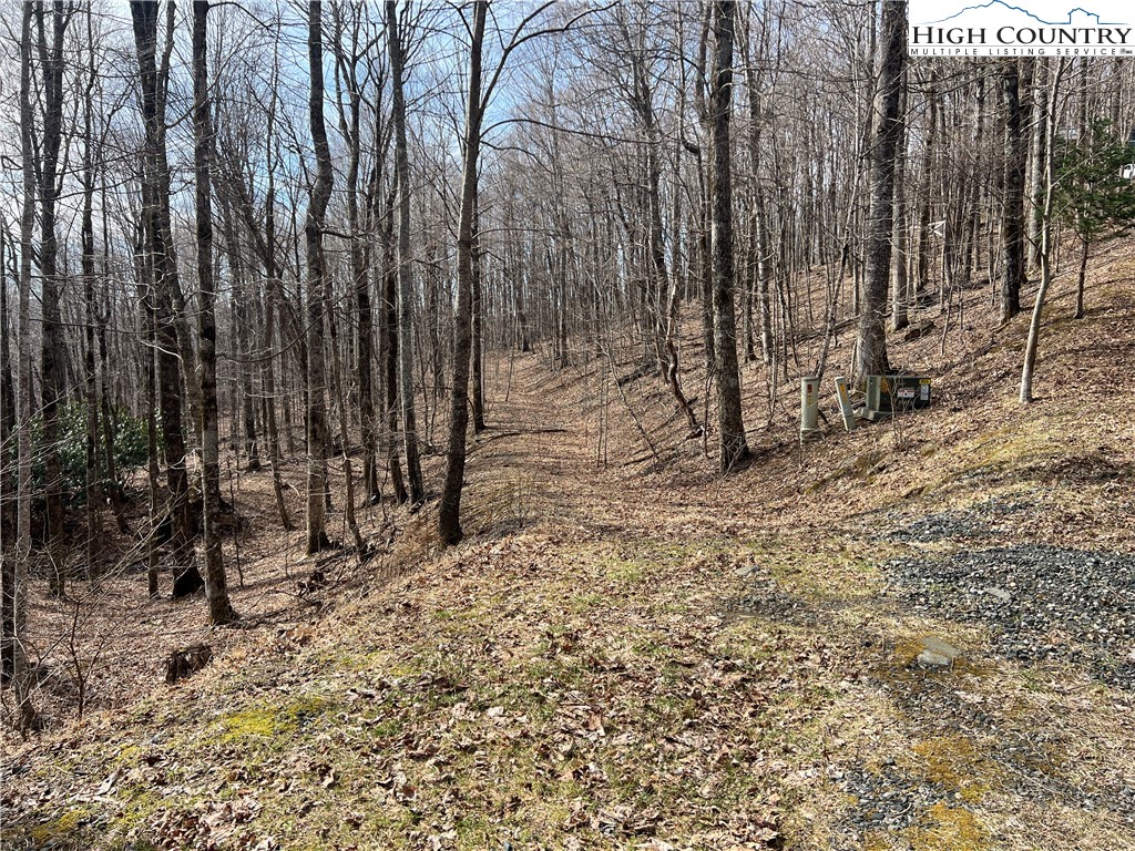 Unk Maple Branch Road West Jefferson, NC 28694 - Photo 4 of 6 a view of backyard with wooden fence