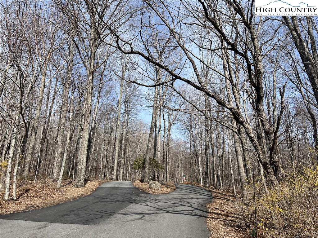 Unk Maple Branch Road West Jefferson, NC 28694 - Photo 6 of 6 a view of a house with snow on the background