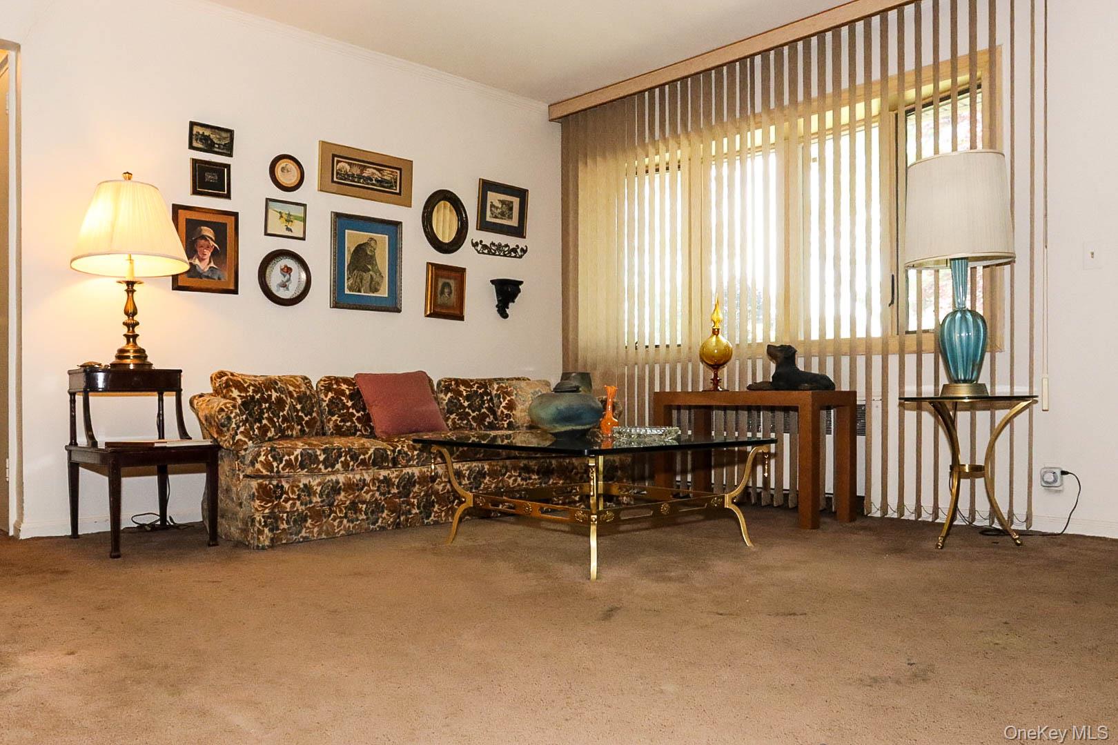 32 Sycamore Road Valley Stream, NY 11581 - Photo 8 of 14