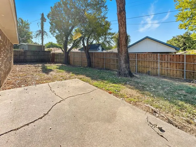 a view of backyard and tree