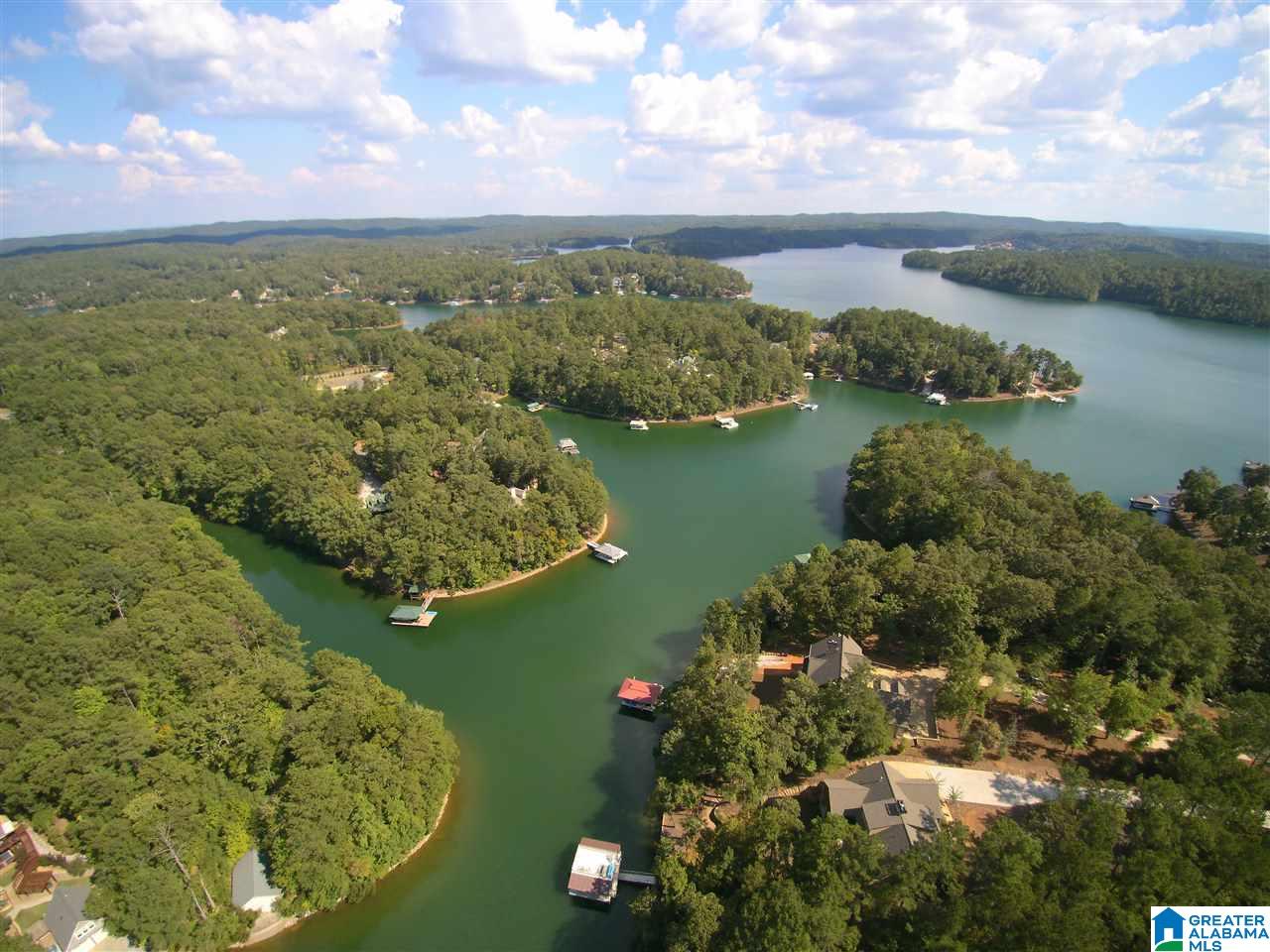 Bluegill Drive Wedowee, AL 36278 - Photo 1 of 7