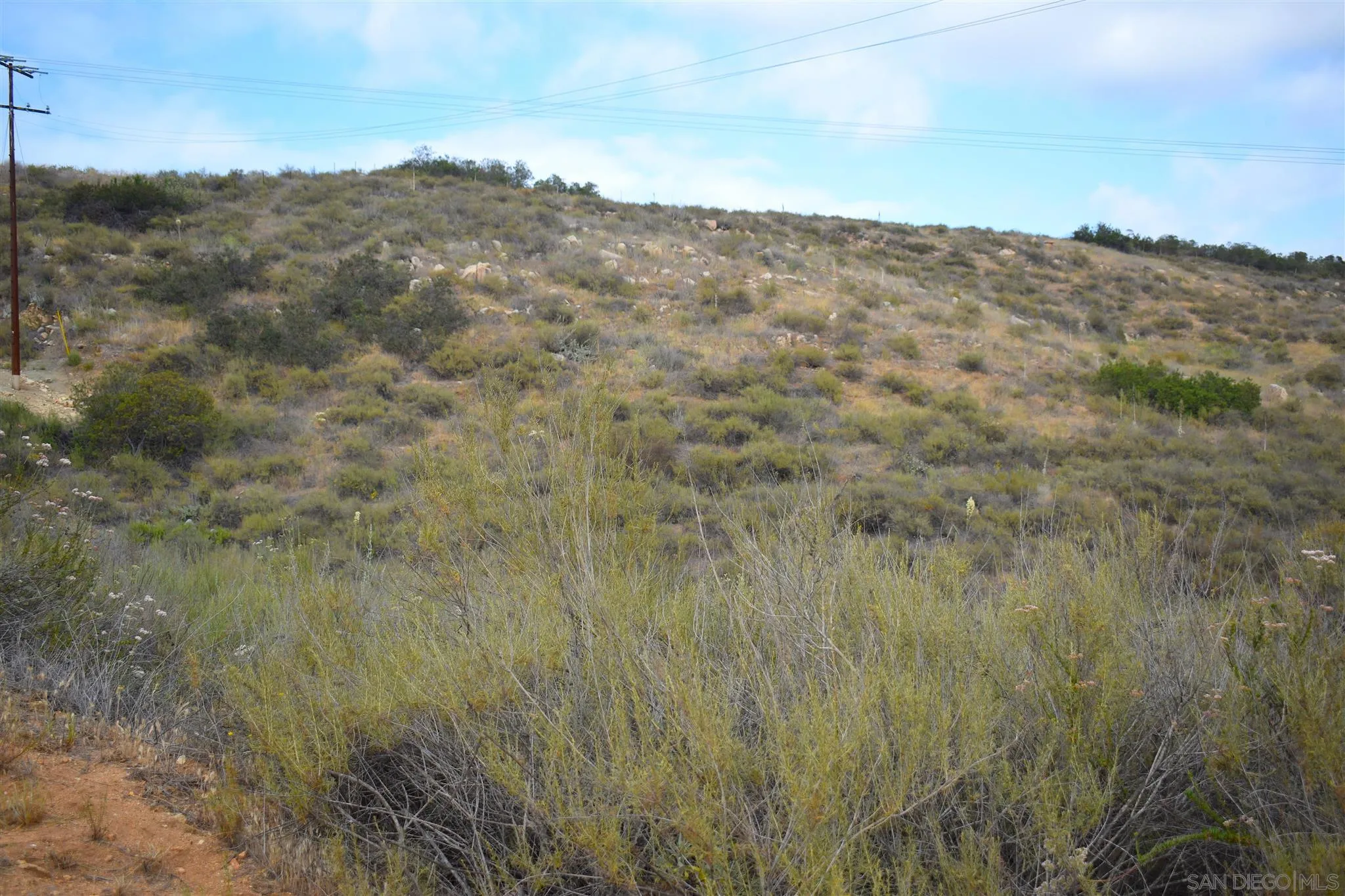 Old Lilac Road, Unit 24 Valley Center, CA 92082 - Photo 11 of 24 a view of a dry yard