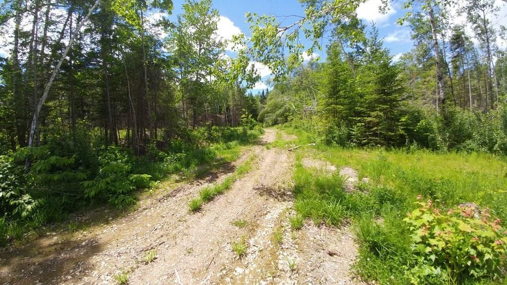 Off Jackins Settlement Road Orient, ME 04471 - Photo 19 of 25 Photo