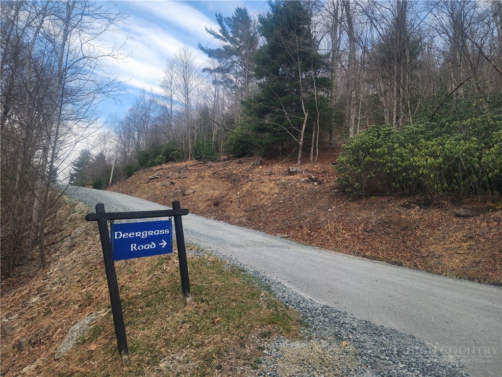 100 Deergrass Road Beech Mountain, NC 28604 - Photo 1 of 3