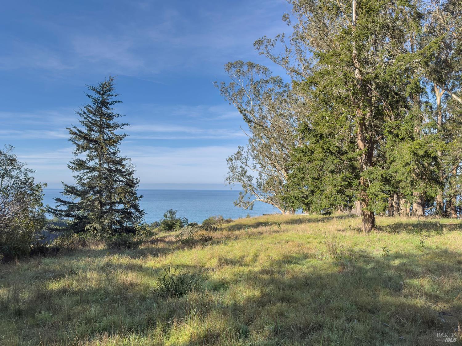 37275 Rams Horn Reach The Sea Ranch, CA 95497 - Photo 2 of 10