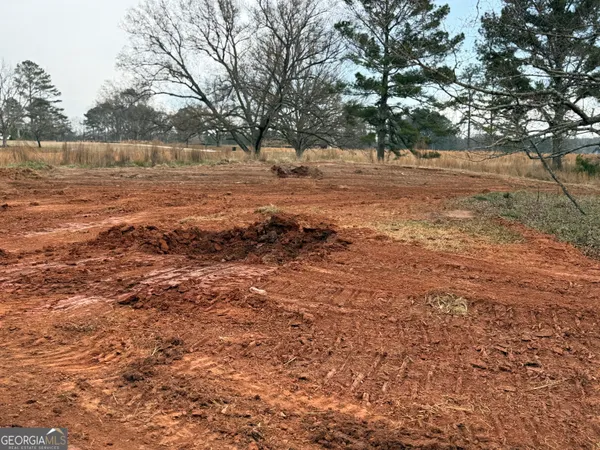 $669,000 | 32 Millie Trail, Williamson, GA 30292