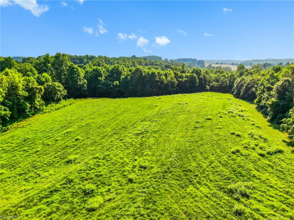 0 Arnold Road Hamptonville, NC 27020 - Photo 9 of 24