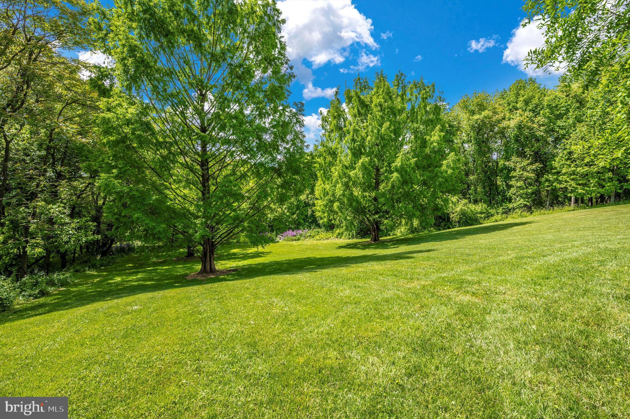 24220 Kings Valley Road Damascus, MD 20872 - Photo 88 of 136 Gallery Image 88