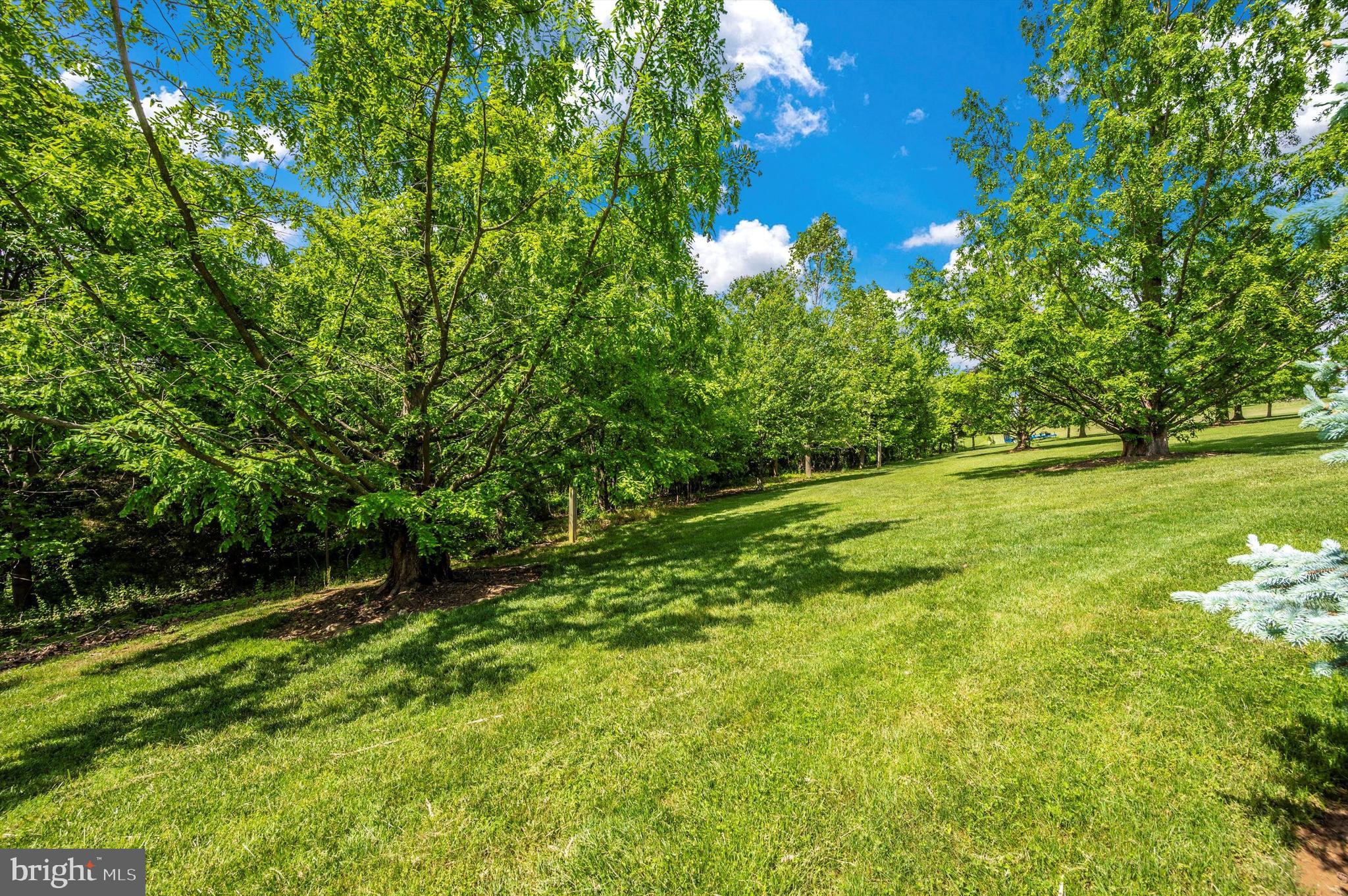 24220 Kings Valley Road Damascus, MD 20872 - Photo 94 of 136 Gallery Image 94