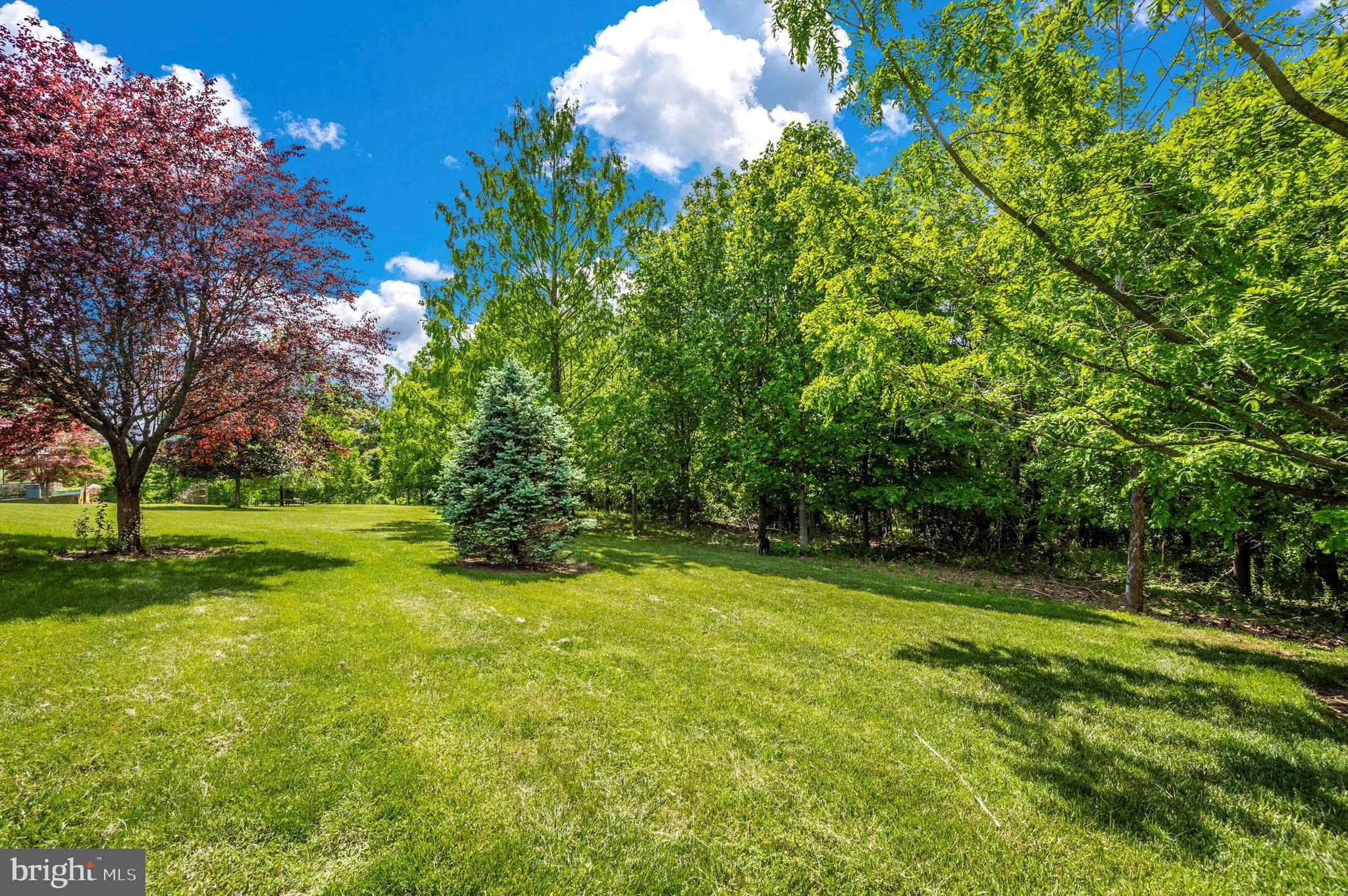 24220 Kings Valley Road Damascus, MD 20872 - Photo 95 of 136 Gallery Image 95