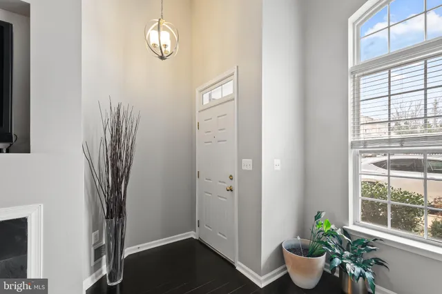 a view of a flower pot and a window in a room