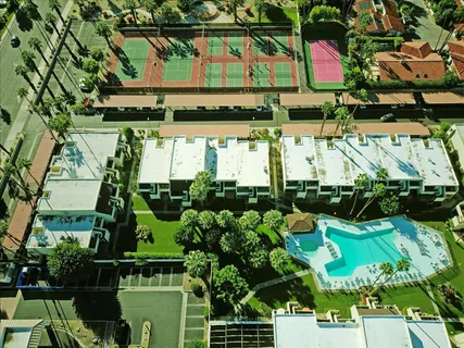 a view of a potted plant of a park