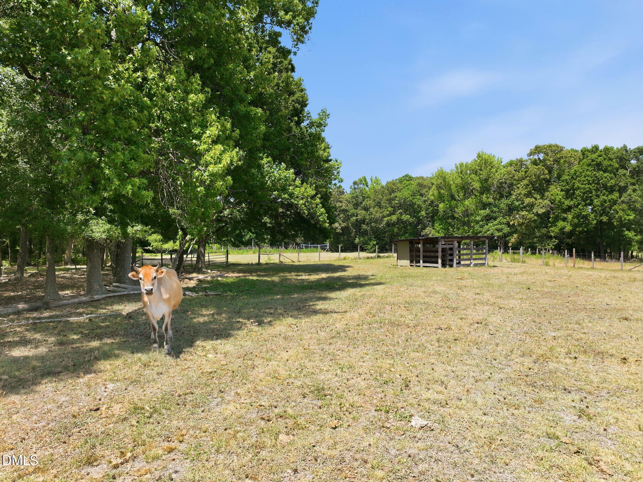 908 Chambers Road Rougemont, NC 27572 - Photo 41 of 50