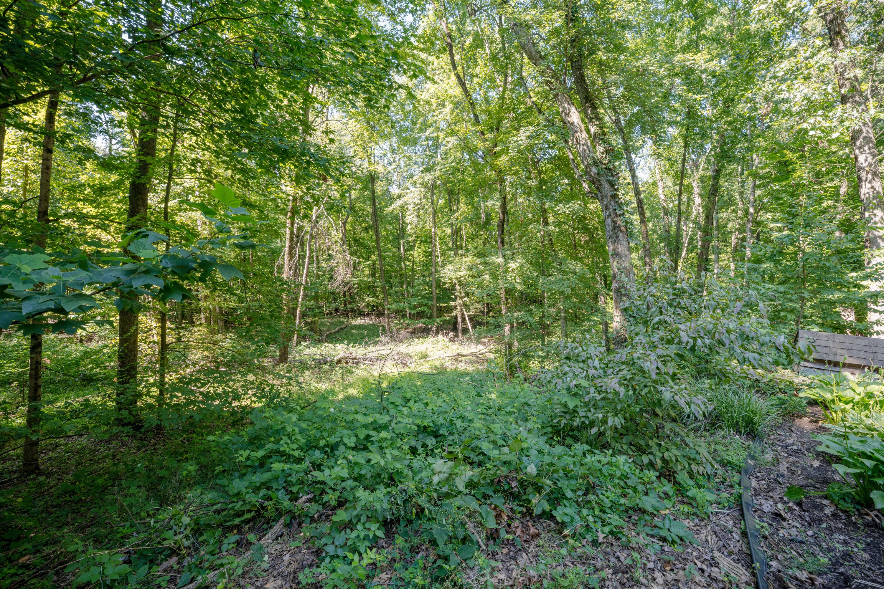 10121 West R Avenue Mattawan, MI 49071 - Photo 37 of 53 DSC08839