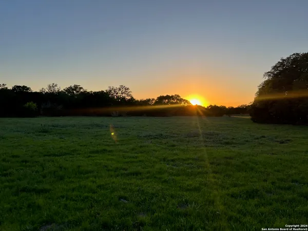 a view of a grassy field with an trees