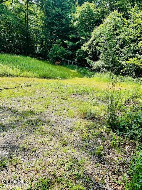 2600 Rosendale Road Niskayuna, NY 12309 - Photo 5 of 9 image1 (1)