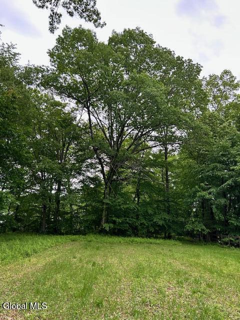 2600 Rosendale Road Niskayuna, NY 12309 - Photo 6 of 6 IMG_0356