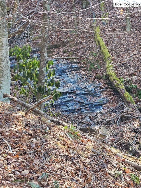 339 Stillhouse Branch Road Laurel Springs, NC 28644 - Photo 11 of 50