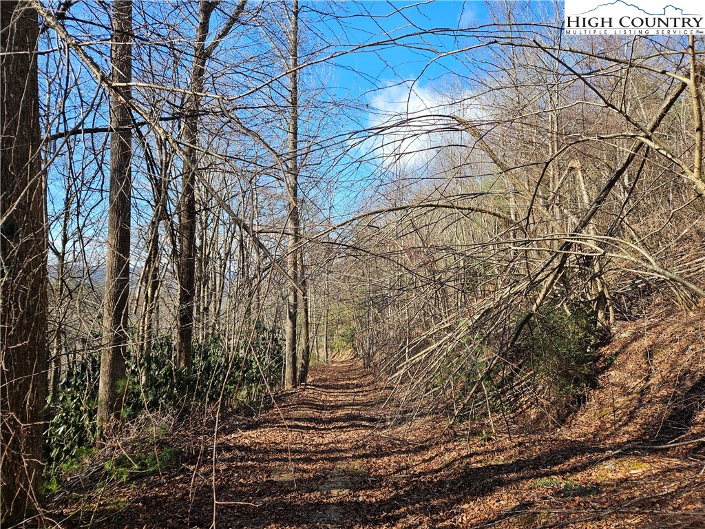 339 Stillhouse Branch Road Laurel Springs, NC 28644 - Photo 12 of 50