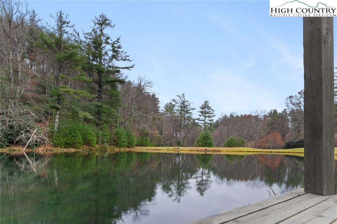 339 Stillhouse Branch Road Laurel Springs, NC 28644 - Photo 3 of 50