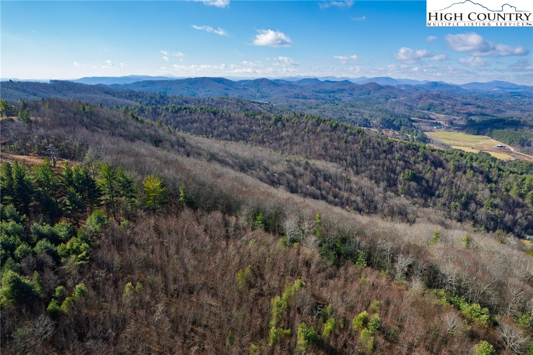 339 Stillhouse Branch Road Laurel Springs, NC 28644 - Photo 42 of 50