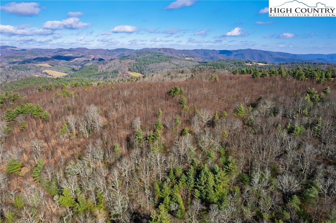 339 Stillhouse Branch Road Laurel Springs, NC 28644 - Photo 43 of 50