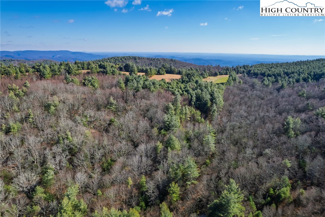 339 Stillhouse Branch Road Laurel Springs, NC 28644 - Photo 44 of 50