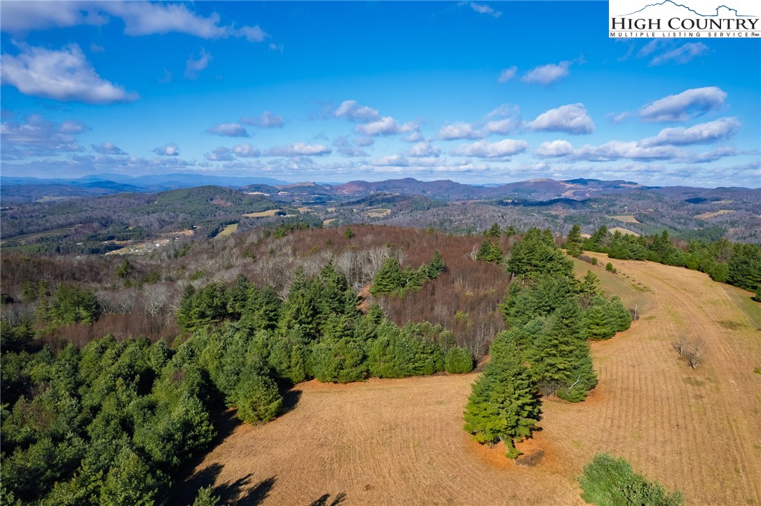 339 Stillhouse Branch Road Laurel Springs, NC 28644 - Photo 45 of 50