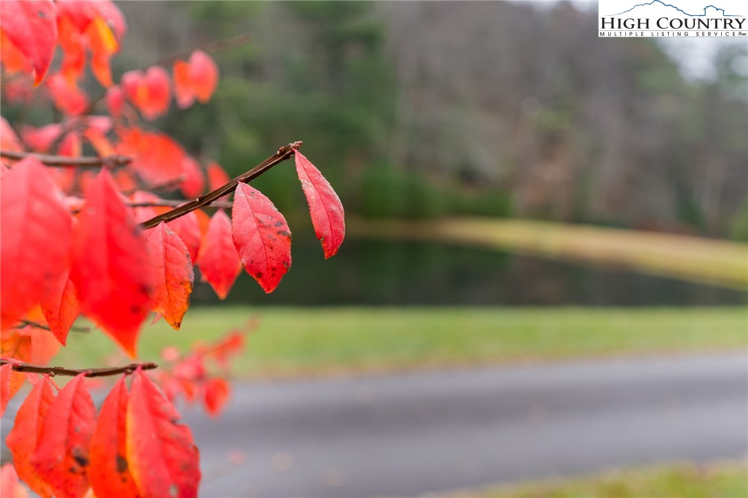 339 Stillhouse Branch Road Laurel Springs, NC 28644 - Photo 7 of 50