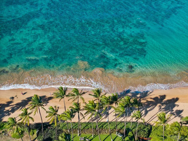 $2,295,000 | 3150 Wailea Alanui Drive, Unit 2902, Kihei, HI 96753