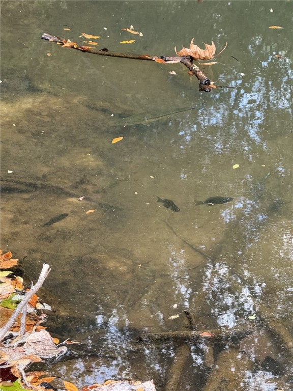 967 Little Mississippi Cemetery Road, Unit COUNTYROAD Franklin, TX 77856 - Photo 24 of 27 a backyard of a house