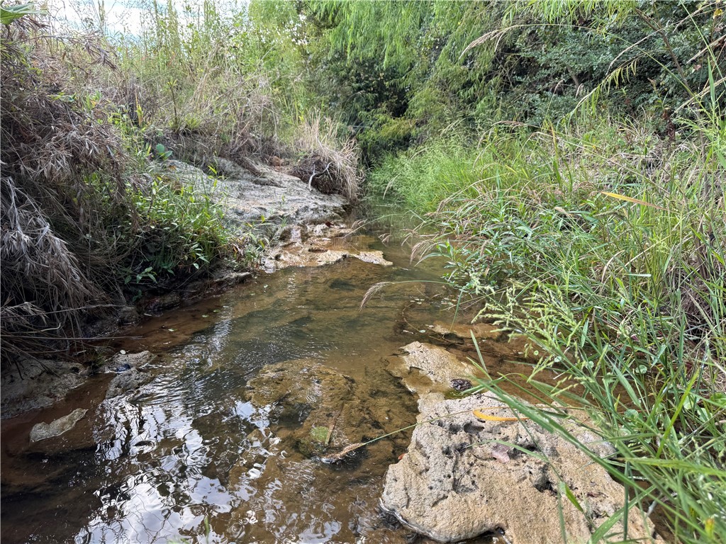967 Little Mississippi Cemetery Road, Unit COUNTYROAD Franklin, TX 77856 - Photo 25 of 27 a view of a forest with a tree