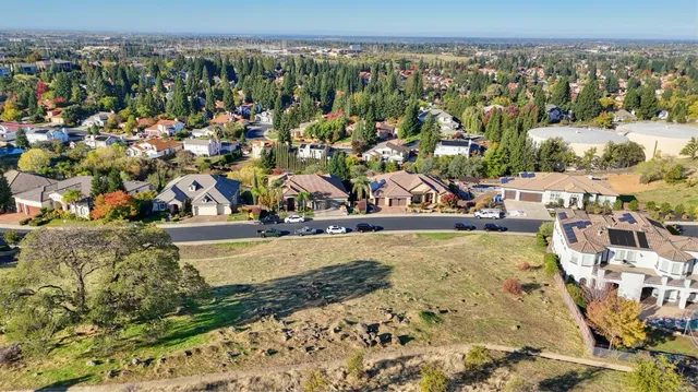 a view of a water with a large trees