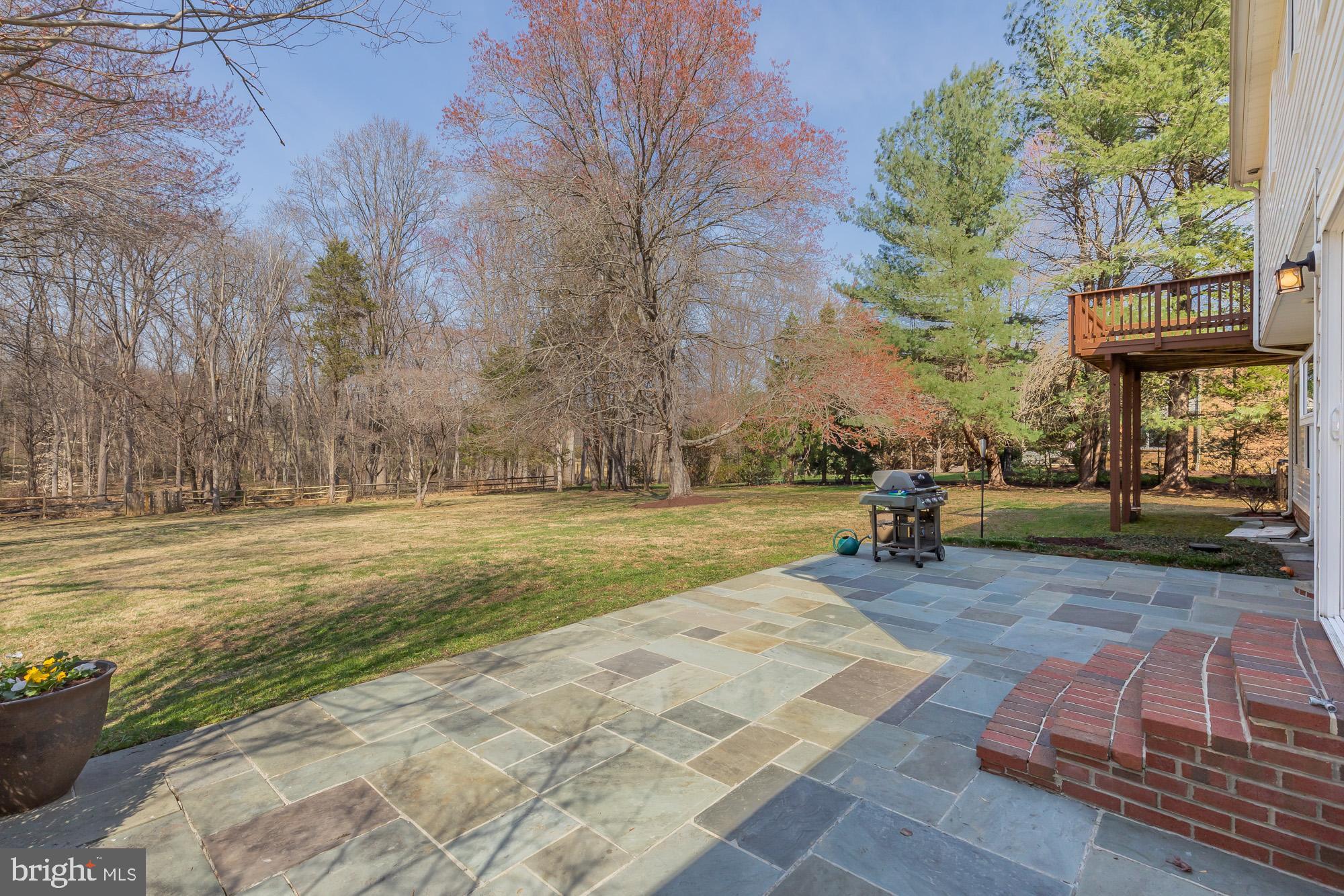 16217 Whitehaven Road Silver Spring, MD 20906 - Photo 17 of 50 a view of a park with large trees