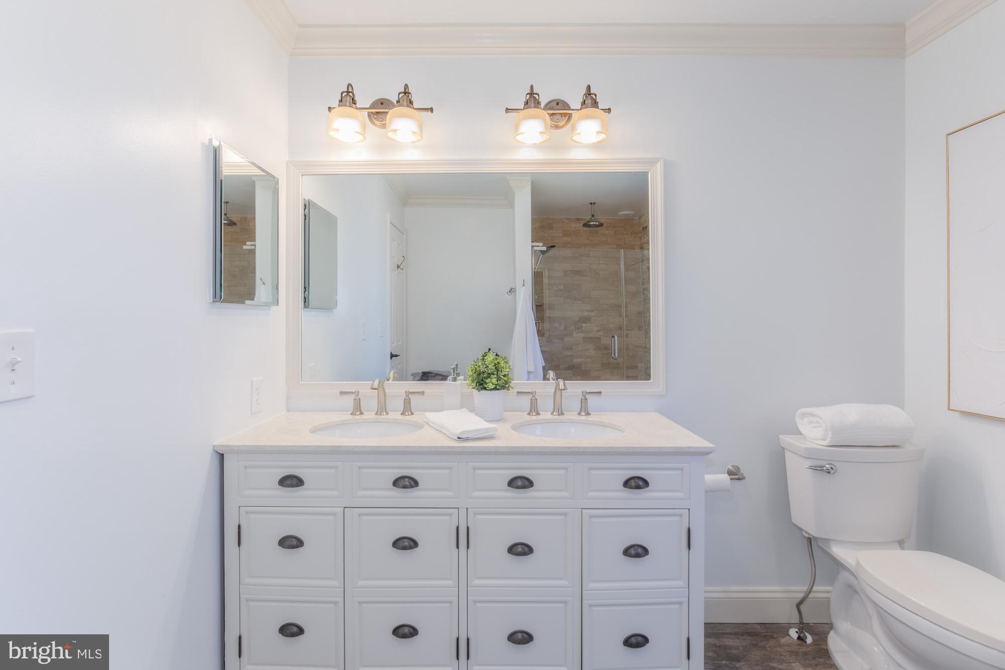 16217 Whitehaven Road Silver Spring, MD 20906 - Photo 34 of 50 a bathroom with a sink a toilet and mirror
