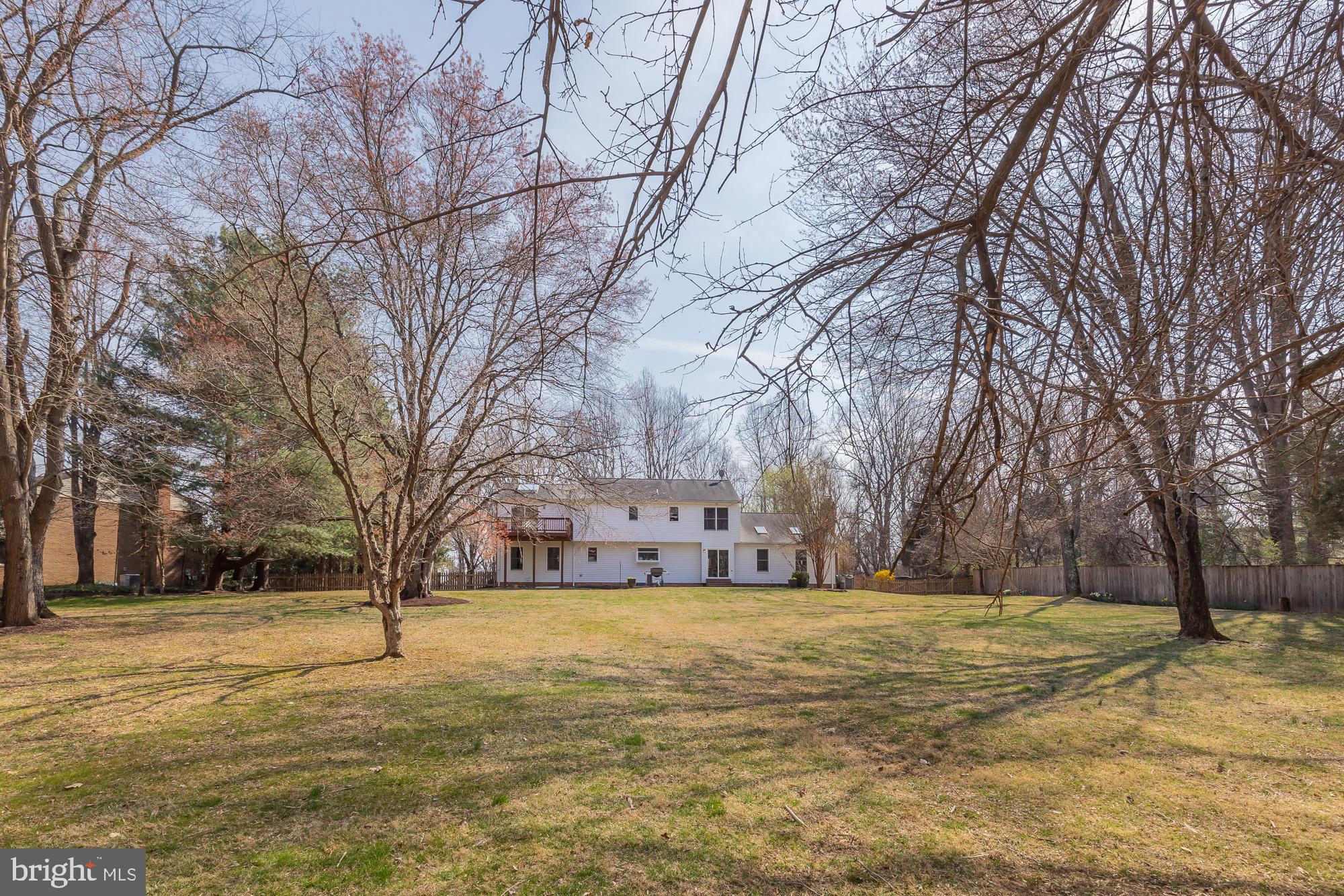 16217 Whitehaven Road Silver Spring, MD 20906 - Photo 48 of 50 a view of yard with trees